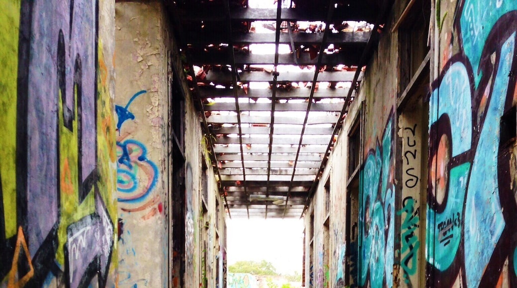 Probably more inviting now than when it was in use. Love exploring the graffiti at the abandoned Morisset Mental Hospital at Wyee Point. #graffiti #australia #blue