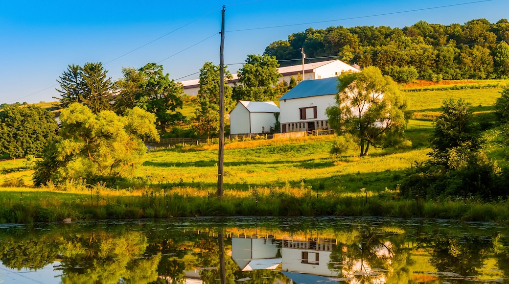 Barn and trees reflecting in a small pond on a farm in rural Yor
