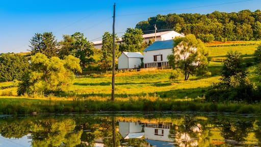 Barn and trees reflecting in a small pond on a farm in rural Yor