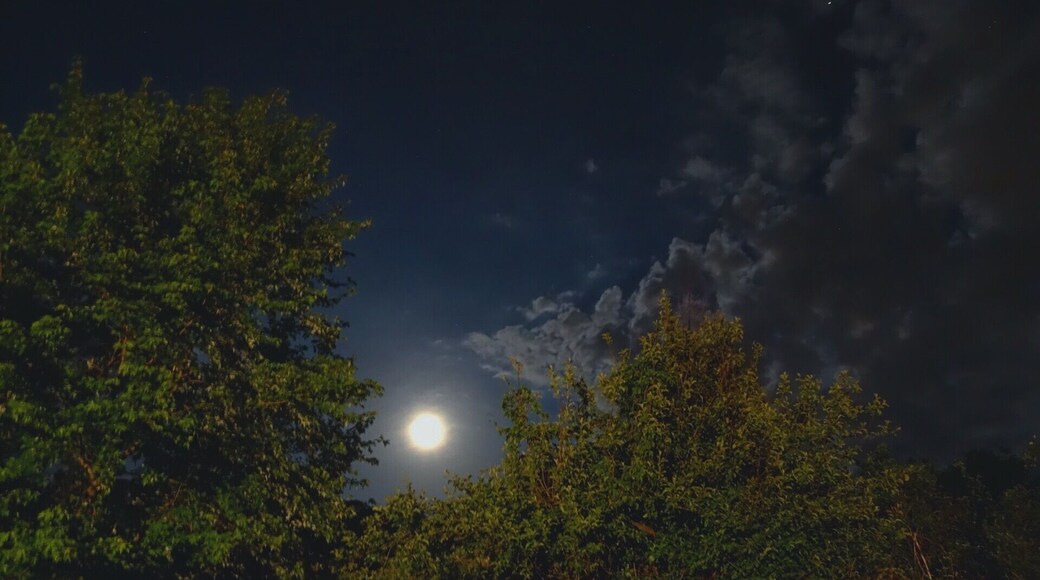 "It's hard to say that I'd rather stay awake when I'm asleep
'Cause everything is never as it seems" 🌑