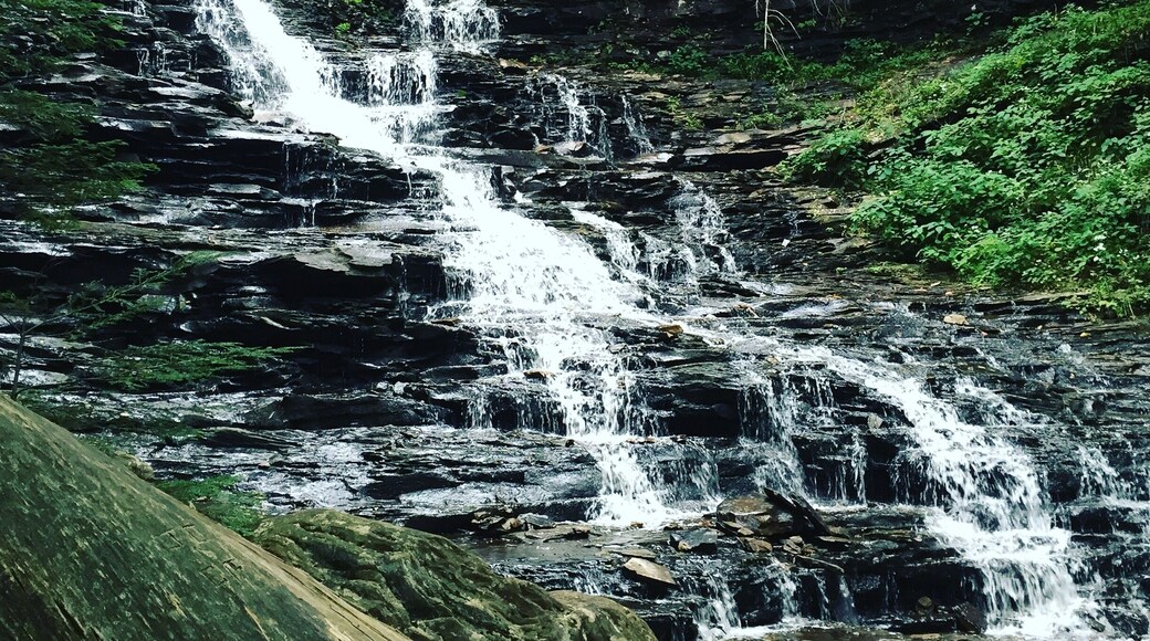 Beautiful hike in Lopez that has over 37 waterfalls along the path.
