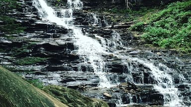 Beautiful hike in Lopez that has over 37 waterfalls along the path.
