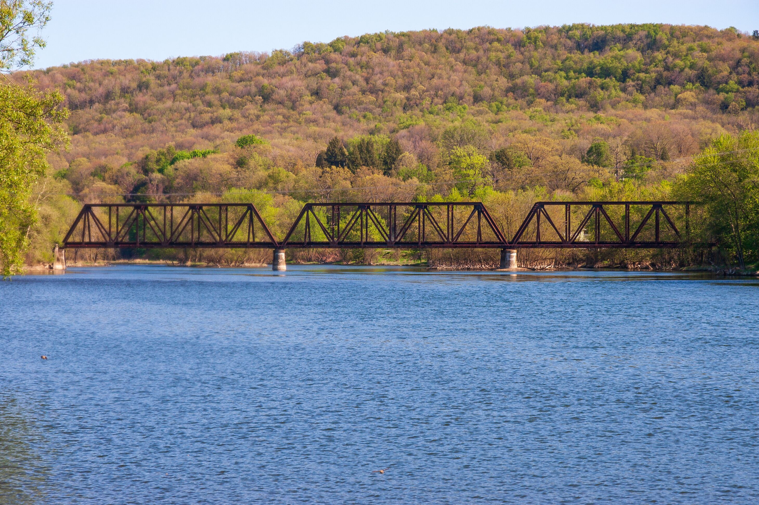 ローワー バレル