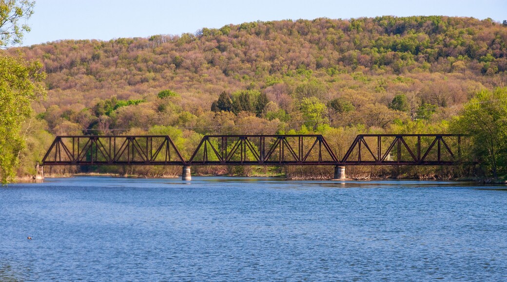 ローワー バレル