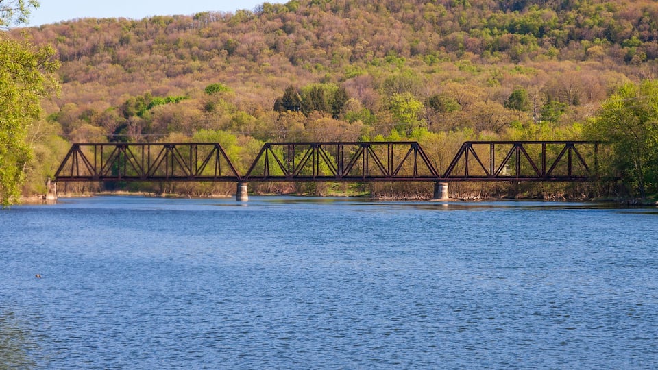 A steel bridge over a calm river with a forested hillside in the background.