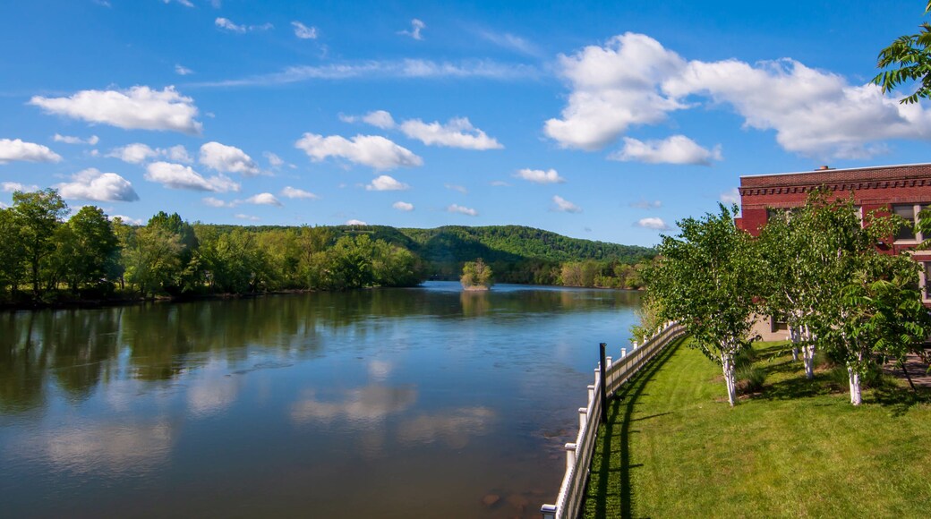 ローワー バレル