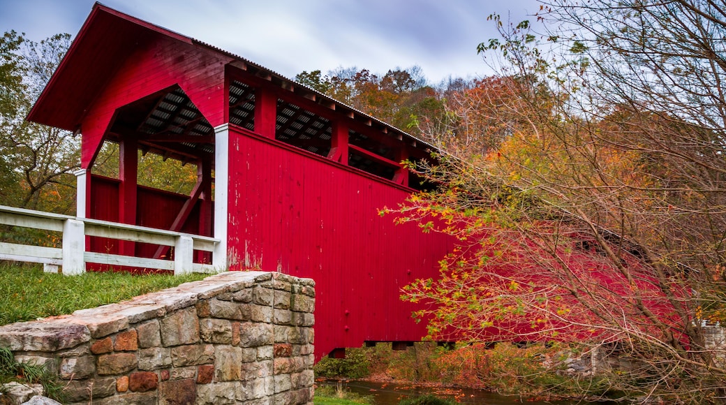 Take Me to the Place I Love