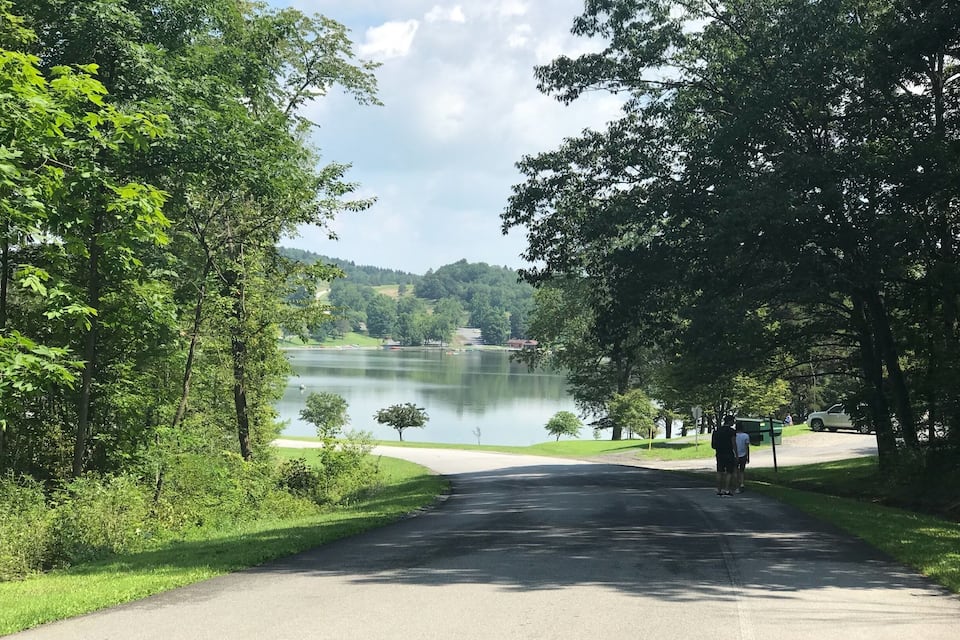 A paved road leading to a lake surrounded by trees.