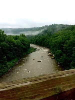 Along the way of the Great Allegheny Passage.