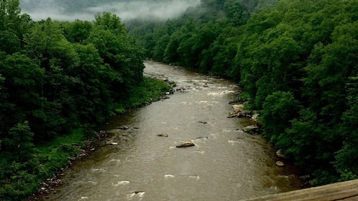 Along the way of the Great Allegheny Passage.