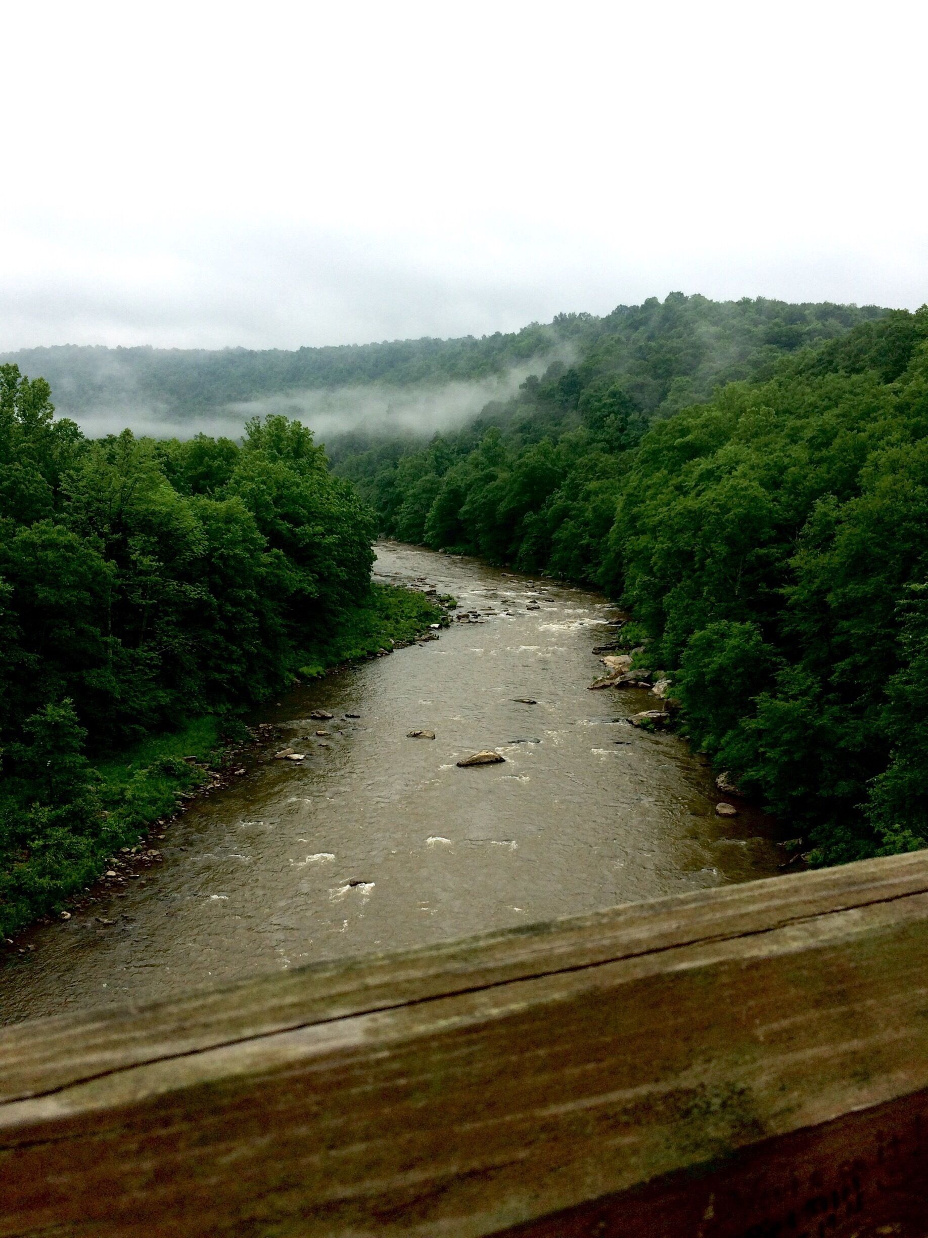 A river flowing through a forested valley with dense green trees on both sides.