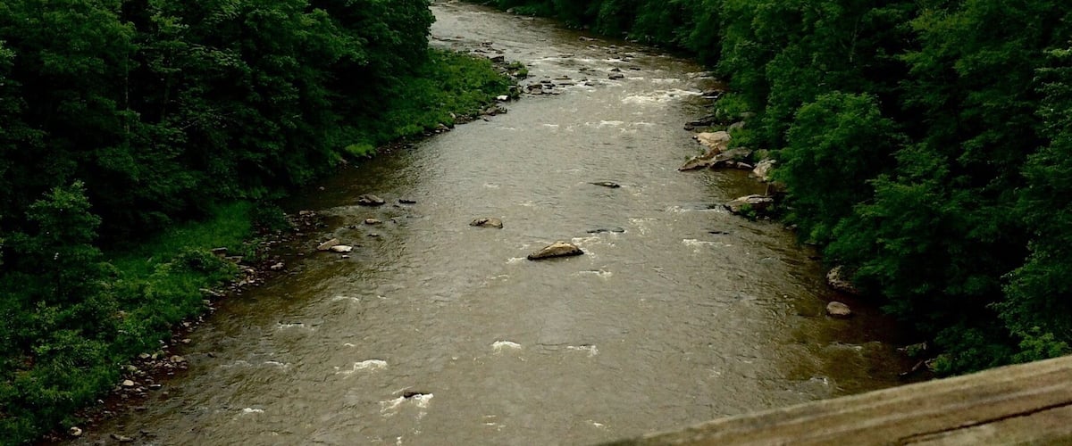 A river flowing through a forested valley with dense green trees on both sides.