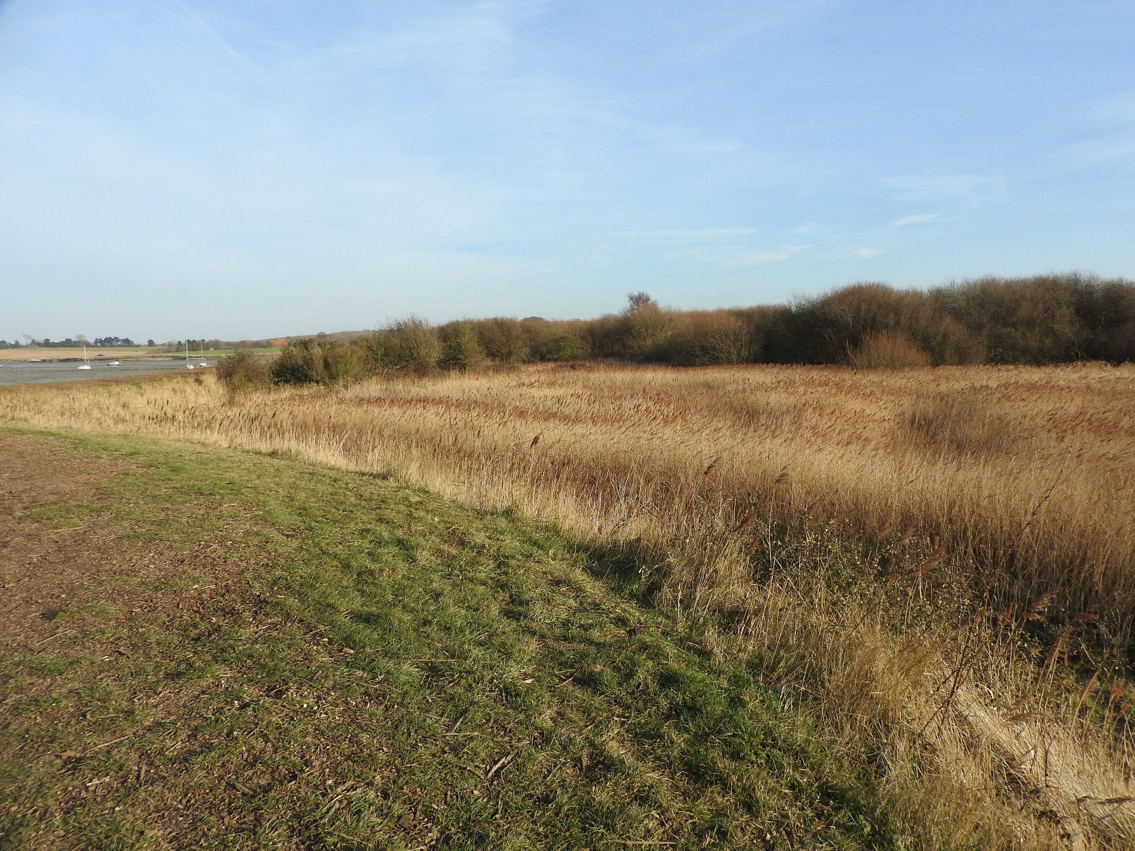 Lower Halstow Brickfields amenity area