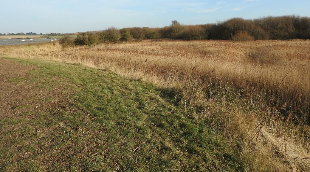 Lower Halstow Brickfields amenity area