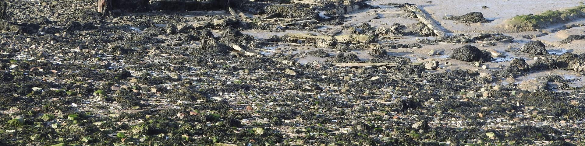 Vista from the shore at Lower Halstow
