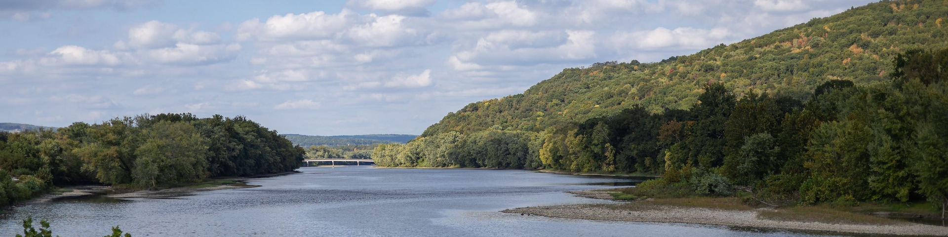 A river flanked by dense forests and a bridge in the distance.