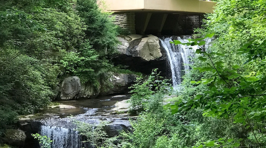 No words necessary, a must see!! #TakeAHike