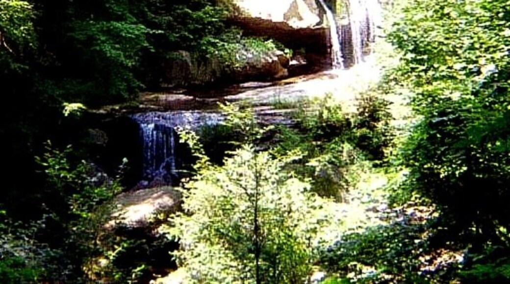 This is a beautiful home built by Frank Lloyd Wright. There are actual waterfalls incorporated into the design. People can take tours of the home and the surrounding areas. A great stop for anyone who loves nature or architecture!