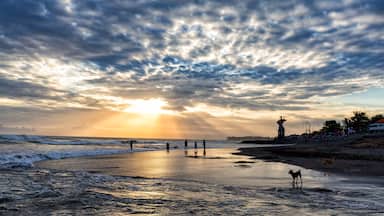 A beach with waves, people, and a statue.