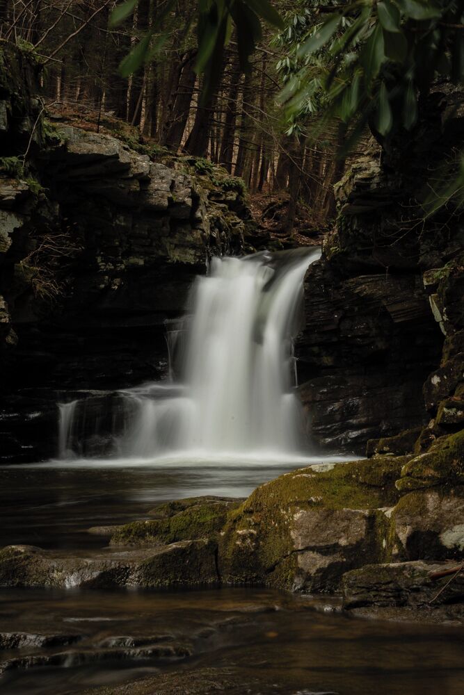 Rattlesnake creek falls. 