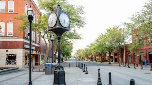 Fancy Clock tower in downtown Moscow Idaho