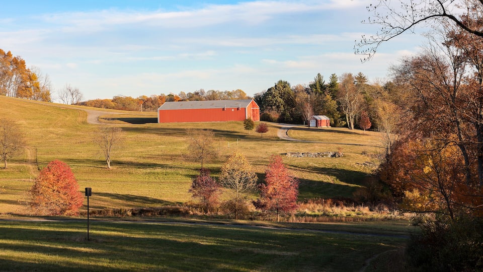 A red barn on a grassy hill with autumn foliage.
