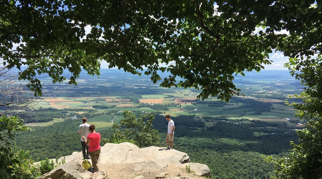 Great view from the top!