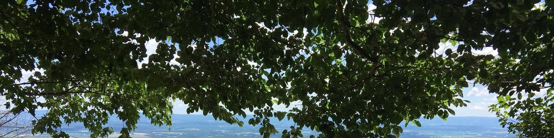 Great view from the top!