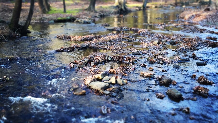 Local hiking is the best!