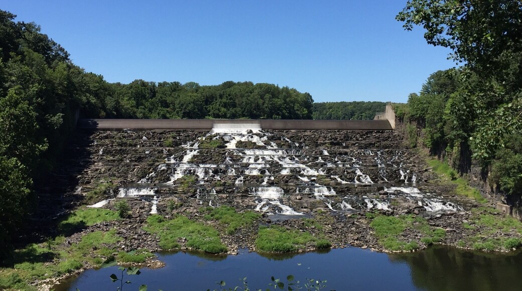 Pull off the road and check this out.