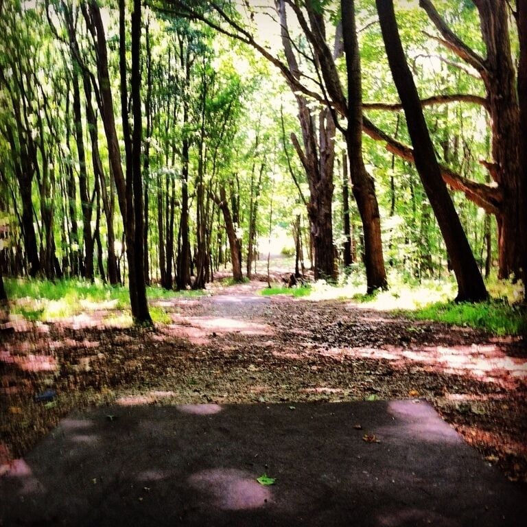 Moraine State Park DG Course, hole 18. #discgolf #frolf #nature