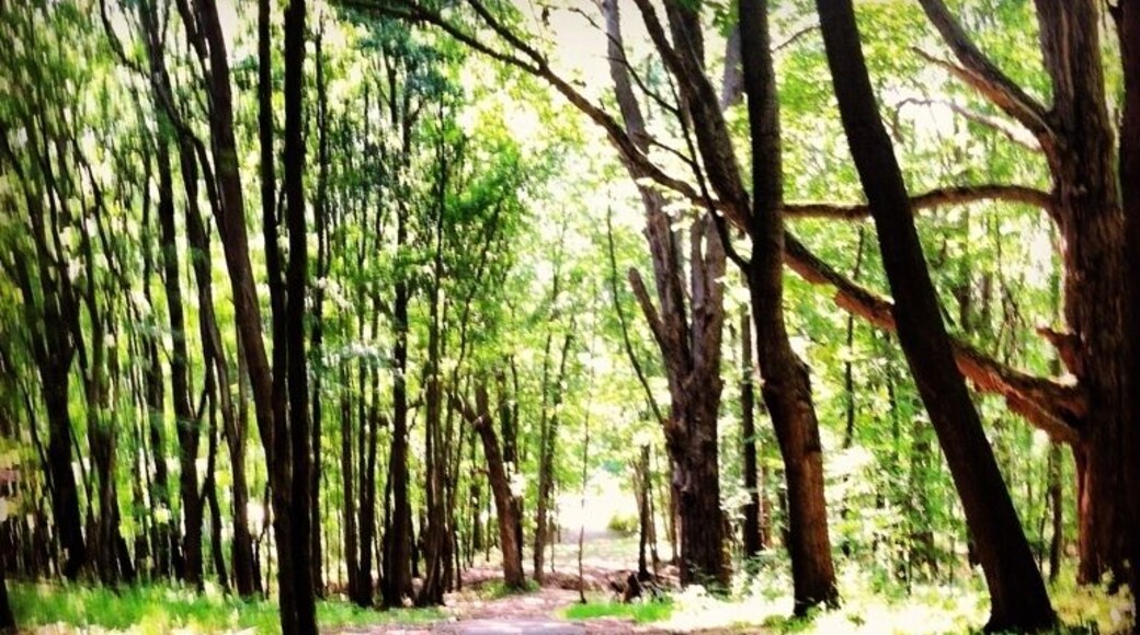Moraine State Park DG Course, hole 18. #discgolf #frolf #nature