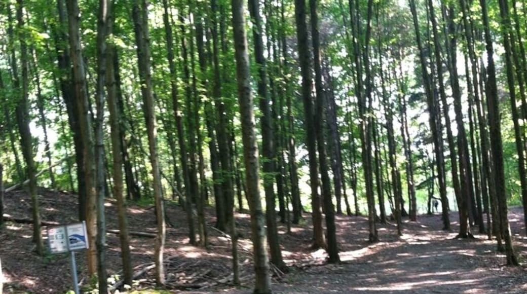 Moraine State Park DG Course, hole 12. #discgolf #frolf