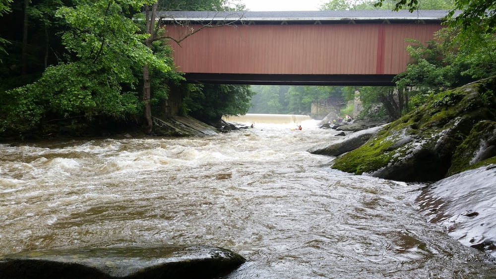 A river under a bridge with rapid water flow and surrounding greenery.