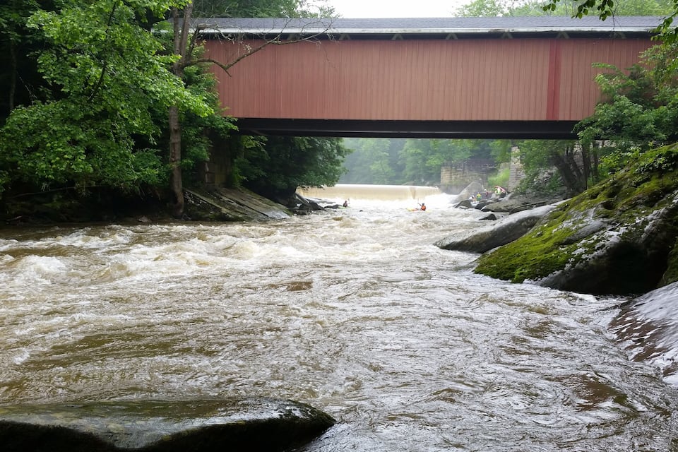 A river under a bridge with rapid water flow and surrounding greenery.