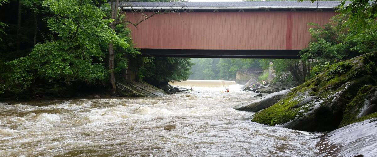 A river under a bridge with rapid water flow and surrounding greenery.