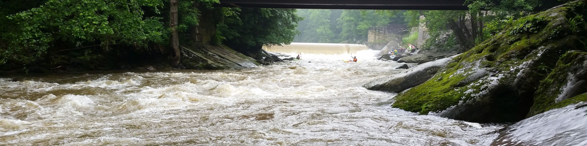 A river under a bridge with rapid water flow and surrounding greenery.