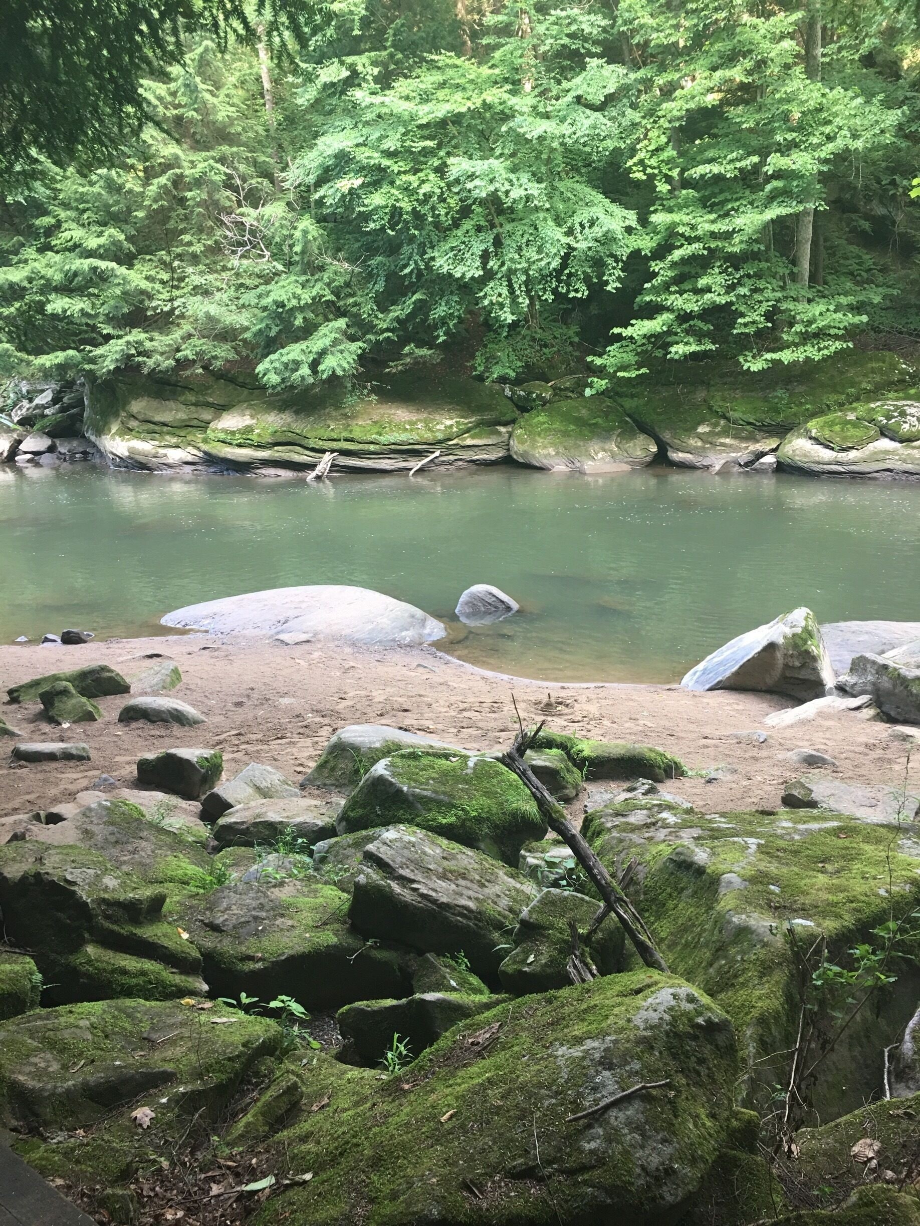 Great hiking trails here with lovely views. 