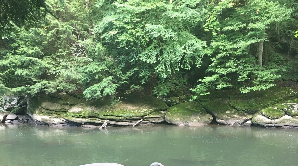 Great hiking trails here with lovely views.