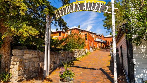 Reeder's Alley Street Sign in Helena