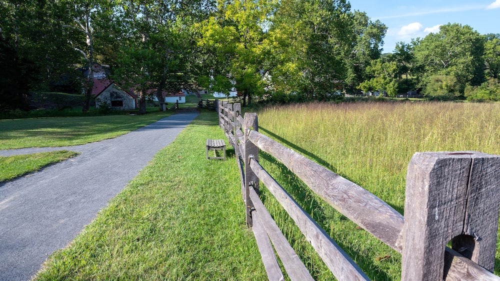 Un chemin de campagne bordé d’une clôture en bois, avec des champs couverts d’herbe et des arbres.