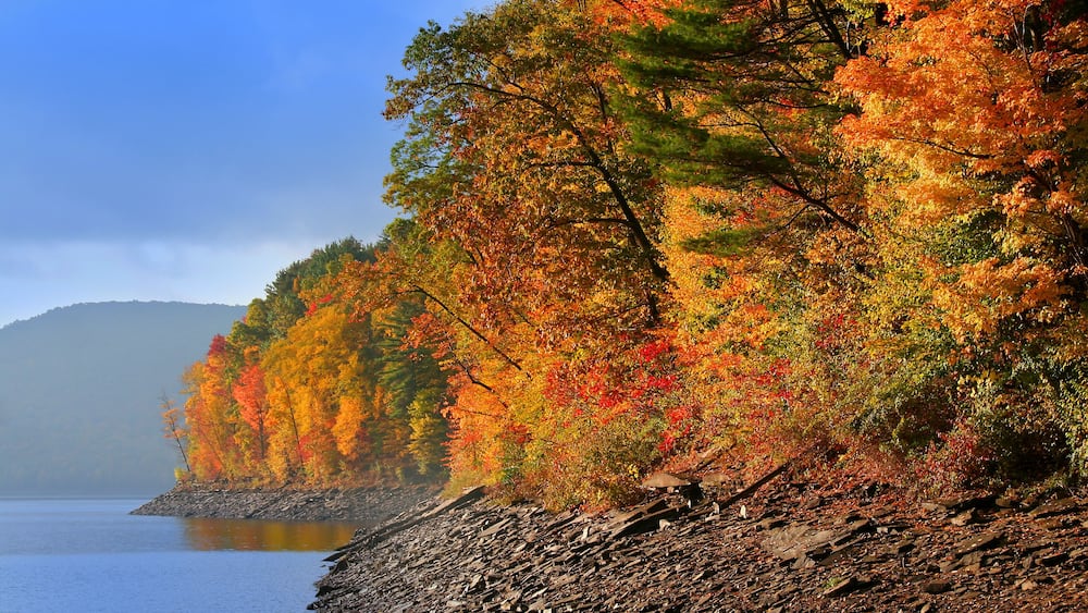 Allegheny national forest