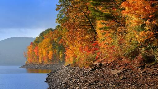 Allegheny national forest