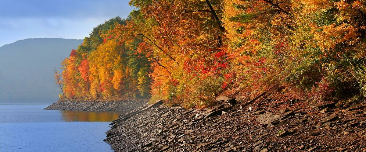 A rocky shoreline with autumn-colored trees and a calm lake.