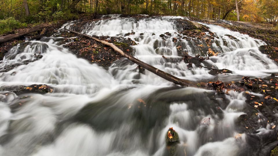 A waterfall in a forest with autumn leaves.