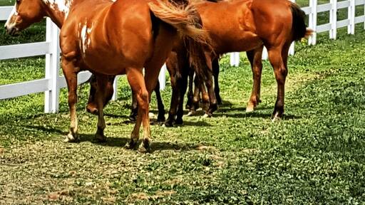 Beautiful country Pennsylvania.. Not far from the Appalachian Trail