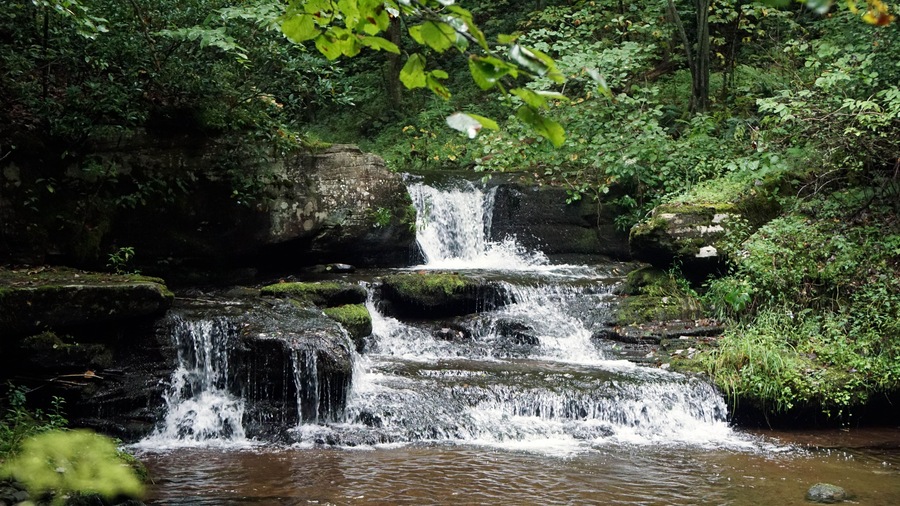 Black Forest Trail Slate Run Pennsylvania Waterfall