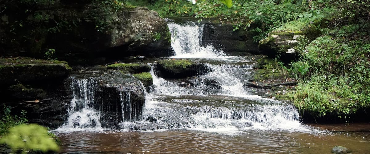 A cascading waterfall surrounded by lush greenery.