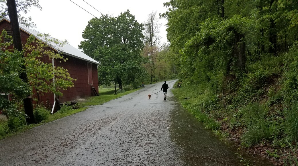 Just running on a rainy day