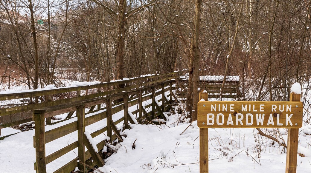 スイスヴェール